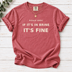Pickle Logic Shirt | If It's In Brine, It's Fine Funny Tee